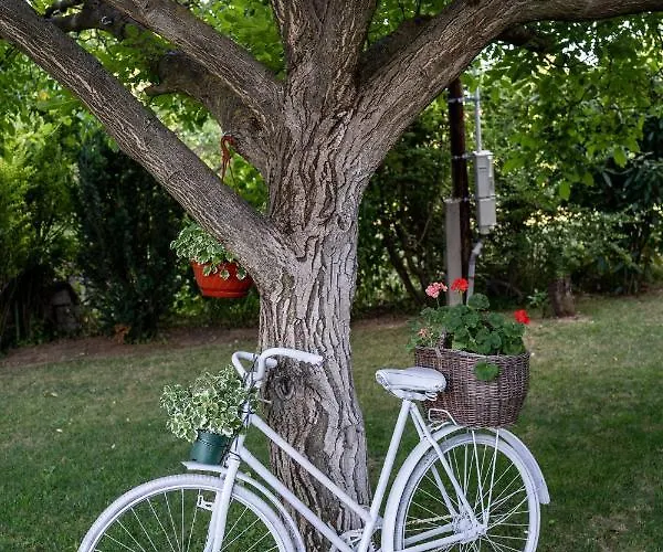 Vendeghaz A Hegyen Prázdninový dům